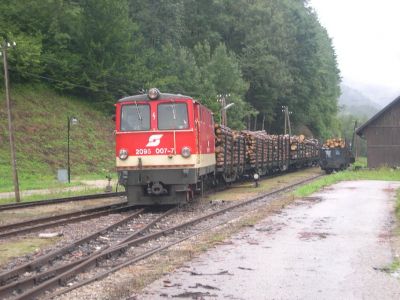 Holzgüterzug
Der Holzzug im Verschub in Opponitz.
Schlüsselwörter: 2095 , 007