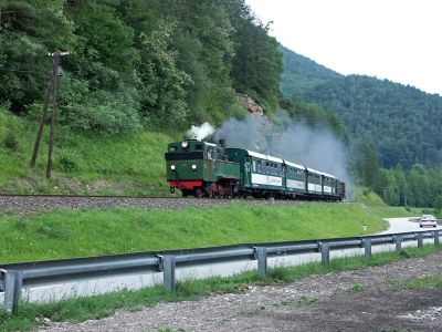 Holztrifterzug
Der Zug bei Kleinhollenstein.
