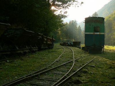 Schlüsselwörter: Feldbahn; Waldbahn; Nasswald; Naßwald